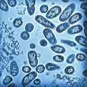 filtered water systems epping